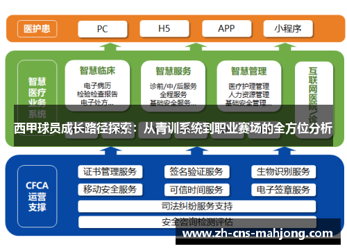 西甲球员成长路径探索：从青训系统到职业赛场的全方位分析