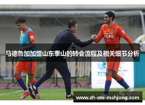 马德鲁加加盟山东泰山的转会流程及相关细节分析 马德鲁加加盟山东泰山的转会流程及相关细节分析